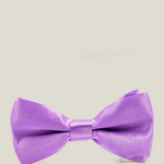 Boys' Bow Tie - Purple