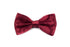 Men's Bow Tie - Burgundy